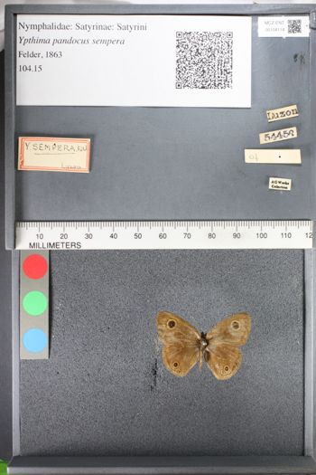 Media type: image;   Entomology 104114